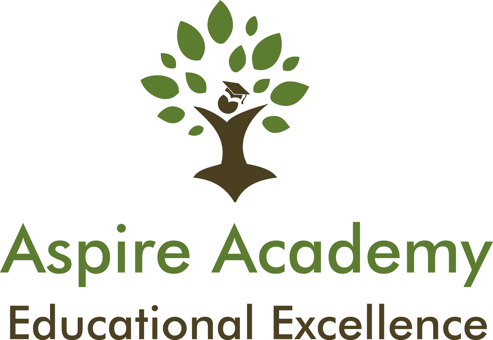 Aspire Academy – Dyslexia Screening and Dyslexia Tutoring logo